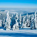 Horská Bouda V Obřím Dole * Pec pod Sněžkou