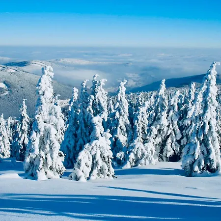 Horska Bouda V Obrim Dole * Pec pod Snezkou