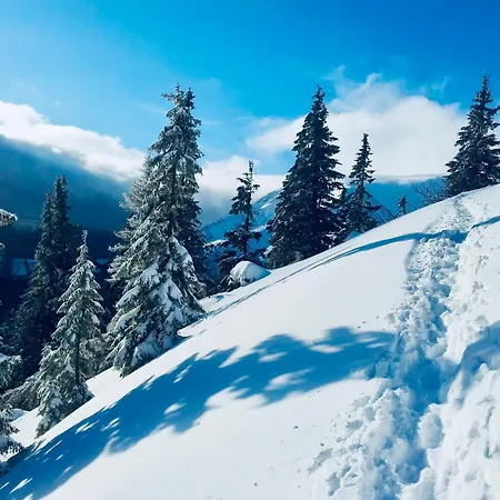 Horská Bouda V Obřím Dole Penzion Pec pod Sněžkou
